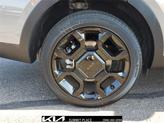 Thumbnail of 2025 Road Rider Brown Kia Sorento