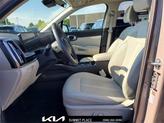 Thumbnail of 2025 Road Rider Brown Kia Sorento