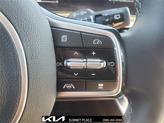 Thumbnail of 2025 Road Rider Brown Kia Sorento