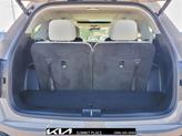 Thumbnail of 2025 Road Rider Brown Kia Sorento