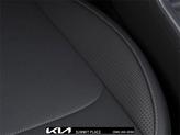 Thumbnail of 2025 Ebony Black Kia Sorento