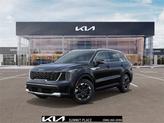 Photo of 2025 Panthera Metal Kia Sorento