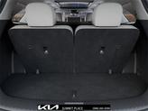 Thumbnail of 2025 Panthera Metal Kia Sorento