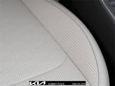 Thumbnail of 2025 Panthera Metal Kia Sorento
