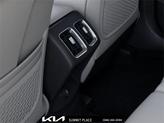 Thumbnail of 2025 Panthera Metal Kia Sorento
