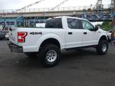 Thumbnail of 2019 Oxford White Ford F-150