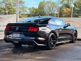 Thumbnail of 2020 Magnetic Metallic Ford Mustang
