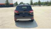 Thumbnail of 2013 Brown Ford Escape