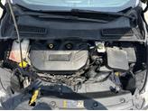 Thumbnail of 2013 Brown Ford Escape