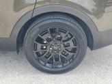 Thumbnail of 2021 Dark Moss Kia Telluride