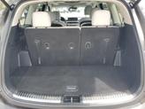 Thumbnail of 2021 Dark Moss Kia Telluride