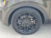 Thumbnail of 2021 Dark Moss Kia Telluride