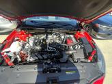 Thumbnail of 2024 Scarlet Ember Nissan Altima