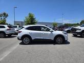 Thumbnail of 2021 White Ford Escape