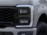 Thumbnail of 2026 Avalanche Ford F-250