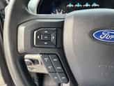 Thumbnail of 2019 Magnetic Ford F-150