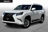 Photo of 2022 Starfire Pearl Lexus GX 460