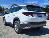 Thumbnail of 2025 Serenity White Pearl Hyundai TUCSON