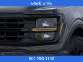 Thumbnail of 2025 Agate Black Metallic Ford F-150