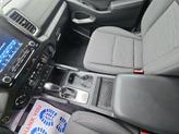 Thumbnail of 2023 Glacier White Nissan Frontier