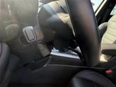 Thumbnail of 2023 Q Ball Dodge Hornet