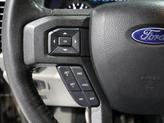 Thumbnail of 2019 Stone Gray Ford F-150