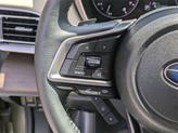 Thumbnail of 2020 Autumn Green Metallic Subaru Outback