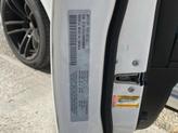Thumbnail of 2021 White Knuckle Clearcoat Dodge Charger