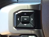Thumbnail of 2017 Ruby Red Metallic Tinted Clearcoat Ford F-450