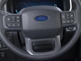 Thumbnail of 2025 Marsh Gray Ford F-150