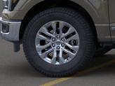 Thumbnail of 2025 Marsh Gray Ford F-150