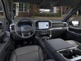 Thumbnail of 2025 Marsh Gray Ford F-150