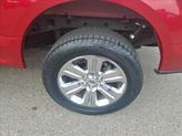 Thumbnail of 2020 Rapid Red Metallic Tinted Clearcoat Ford F-150