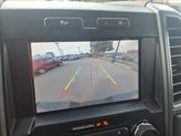 Thumbnail of 2020 Rapid Red Metallic Tinted Clearcoat Ford F-150