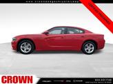 Thumbnail of 2022 Torred Clearcoat Dodge Charger