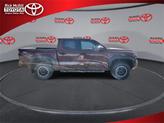Thumbnail of 2025 TERRA Toyota Tacoma