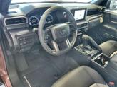 Thumbnail of 2025 TERRA Toyota Tacoma