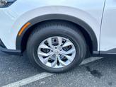 Thumbnail of 2026 Platinum White Pearl Honda CR-V