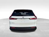 Thumbnail of 2026 Platinum White Pearl Honda CR-V