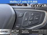 Thumbnail of 2024 Summit White Chevrolet Malibu