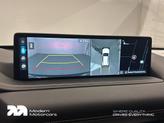 Thumbnail of 2024 Vik Black Genesis GV80