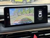 Thumbnail of 2025 Vik Black Genesis G70