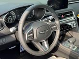 Thumbnail of 2025 Vik Black Genesis G70