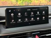 Thumbnail of 2025 Vik Black Genesis G70