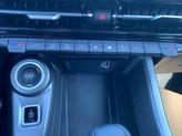 Thumbnail of 2025 Q Ball Dodge Hornet