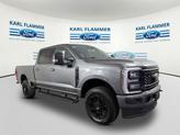 Photo of 2025 Carbonized Gray Metallic Ford F-250