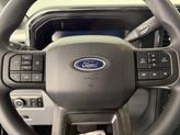 Thumbnail of 2025 Carbonized Gray Metallic Ford F-250