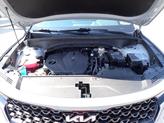Thumbnail of 2023  Kia Sorento