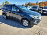 Photo of 2019 BALTIC SEA GREEN METALLIC Ford Escape