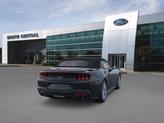 Thumbnail of 2025 Shadow Black Ford Mustang